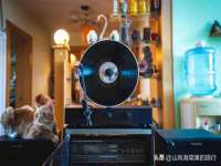 临汾市枫雅装饰装修工程有限公司
