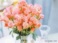 临汾市枫雅装饰装修工程有限公司