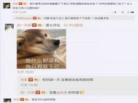 临汾市枫雅装饰装修工程有限公司