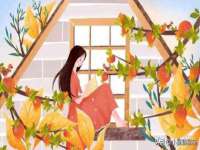 临汾市枫雅装饰装修工程有限公司