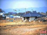 临汾市枫雅装饰装修工程有限公司