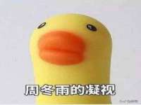 临汾市枫雅装饰装修工程有限公司