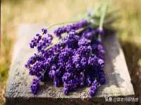 临汾市枫雅装饰装修工程有限公司
