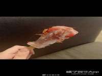 临汾市枫雅装饰装修工程有限公司